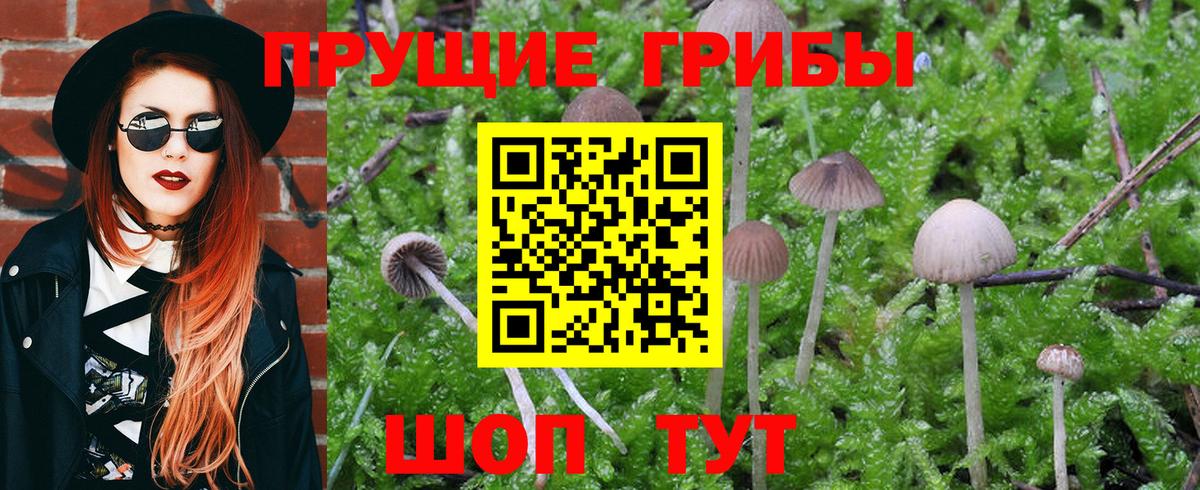 Псилоцибиновые грибы Magic Shrooms Дзержинский