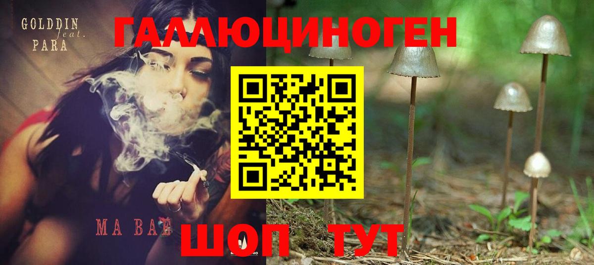 Дзержинский  Галлюциногенные грибы Psilocybe  Вход с VPN  где купить наркотик  Галлюциногенные грибы мицелий 